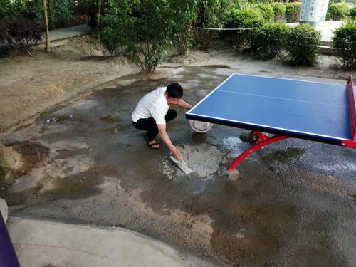 軍屯鎮(zhèn)開展黨史學習教育主題文明實踐志愿服務(wù)活動 為群眾提供教育咨詢服務(wù)