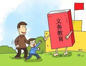 濰坊發(fā)布2017年城區(qū)義務(wù)教育招生政策，教育咨詢服務(wù)同步啟動(dòng)