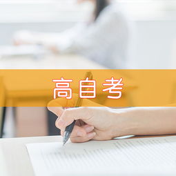 天津慧永諾教育信息咨詢 專業(yè)引領(lǐng)，點亮未來教育之路